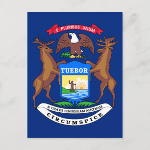 Postal Bandera del estado de Michigan