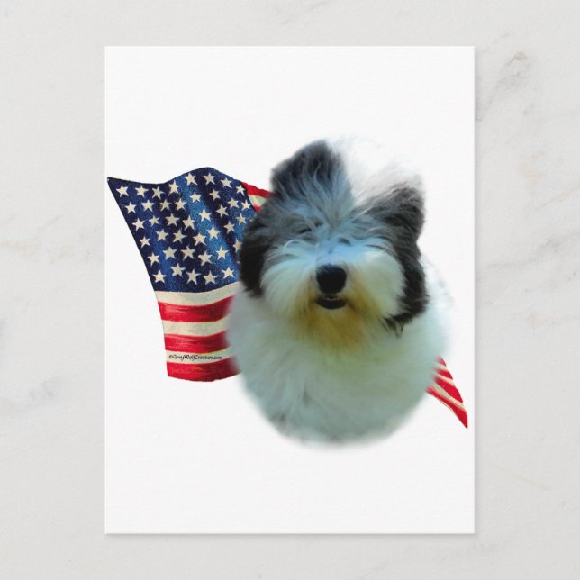 Postal Bandera del perro de oveja inglesa antigua (Anverso)