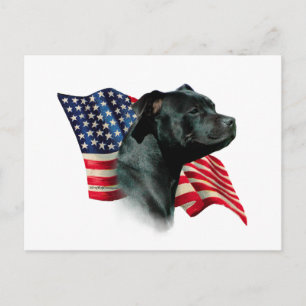 Postal Bandera del toro de Staffordshire