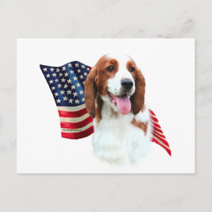 Postal Bandera española de Welsh Springer