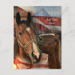 Postal Bandera norteamericana de grano ruidoso de caballo
