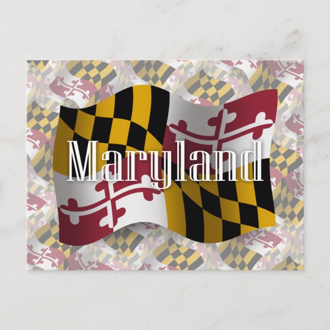 Postal Bandera ondulante de Maryland (Anverso)