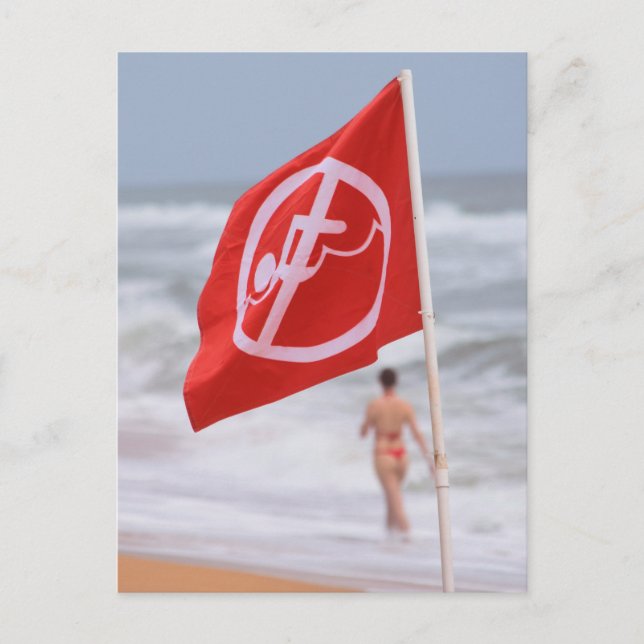 Postal Bandera roja en la playa — Florida (Anverso)