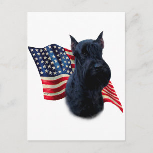 Postal Bandera Schnauzer gigante