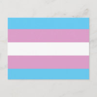 bandera trans original -.png