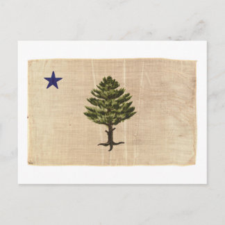 Postal Bandera vintage de Maine de 1901