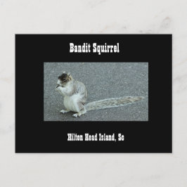 Postal Bandit Squirrel