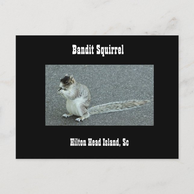 Postal Bandit Squirrel (Anverso)