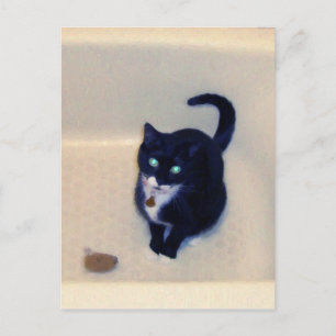 Postal Bañera de juegos