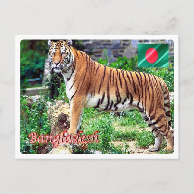 Postal Bangladesh - El Tigeri de la Bengala Real - (Anverso)