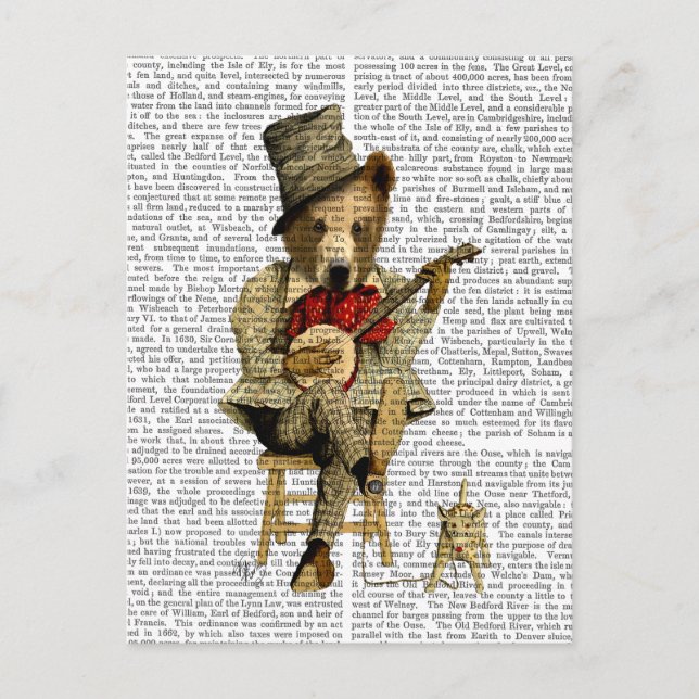 Postal Banjo Bear (Anverso)