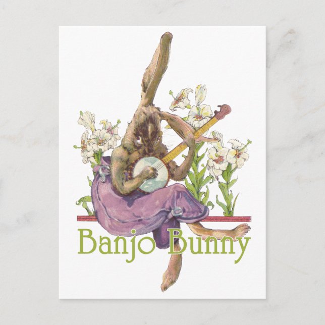 Postal Banjo Bunny Postcard (Anverso)
