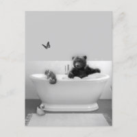 Baño de oso en la bañera de burbujas