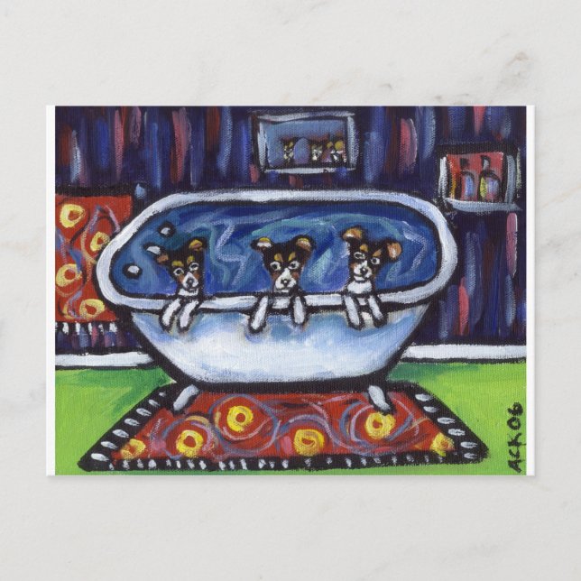 Postal Baño de Rat Terrier (Anverso)