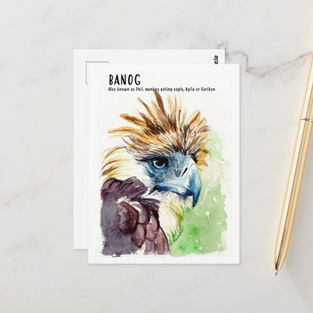 Postal Banog/ Philippine Eagle- DNM Postcards (Anverso/Reverso In Situ)
