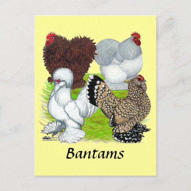 Postal Bantams Feather Legged (Anverso)