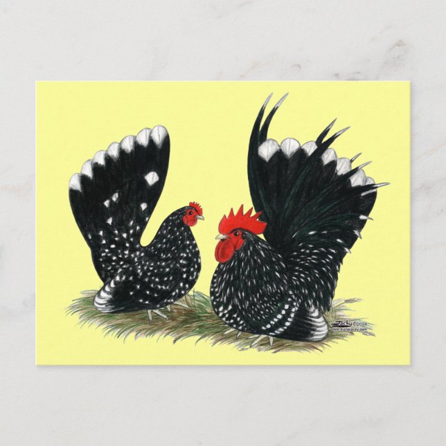 Postal Bantams Mottled (Anverso)