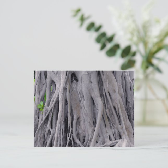 Postal Banyan Tree Trunk (Anverso de pie)