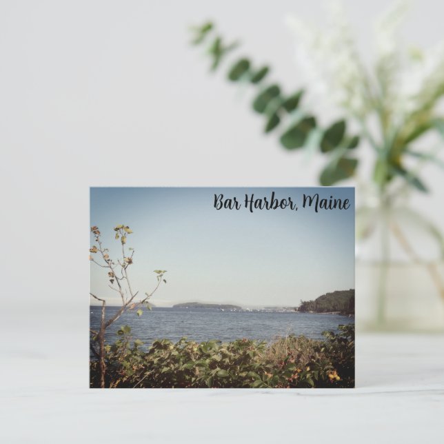 Postal Bar Harbour Cove (Anverso de pie)
