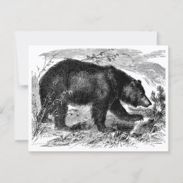 Postal Bär in der Prärie