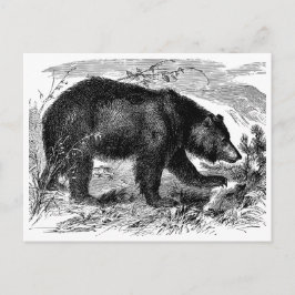Postal Bär in der Prärie