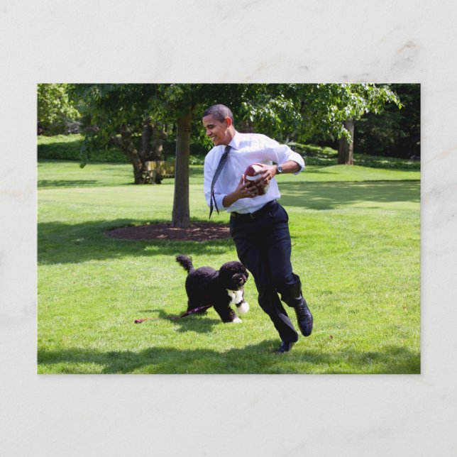 Postal Barack y Bo Obama (Anverso)