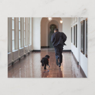 Postal Barack y Bo Obama