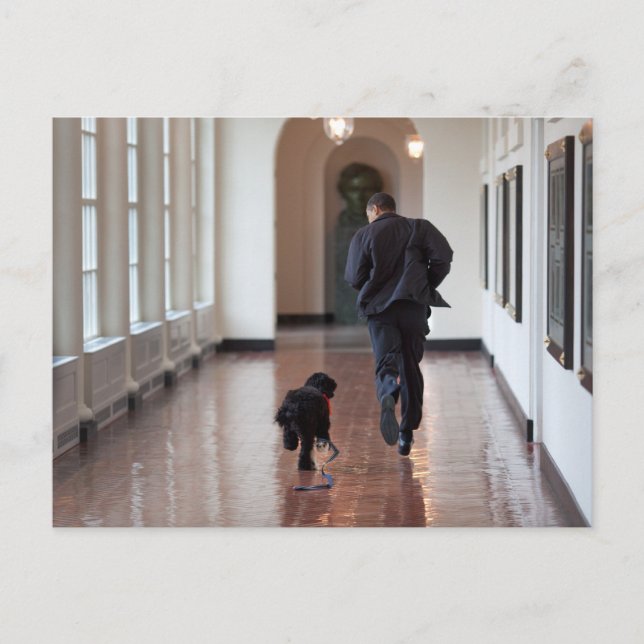 Postal Barack y Bo Obama (Anverso)