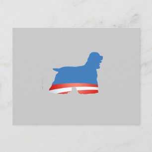 POSTAL BARACKER SPANIEL