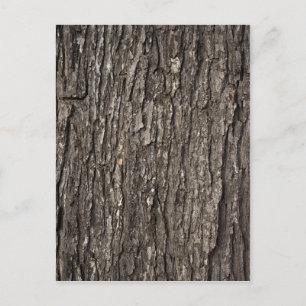 Postal Baraja de árbol gruesa
