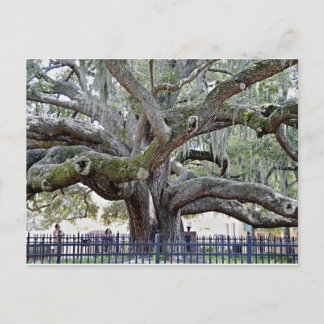 Postal Baranoff Oak - Puerto de seguridad, FL