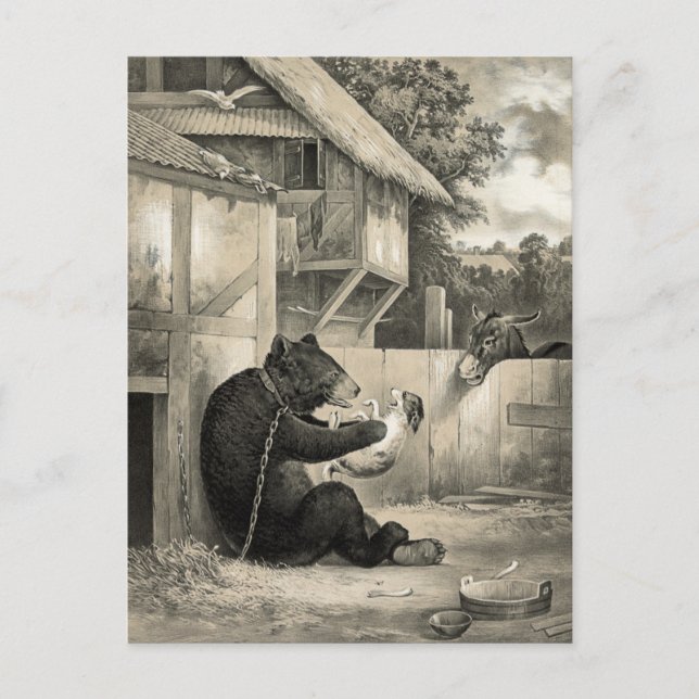 Postal Barba - Oso, Perro y Burro (Anverso)