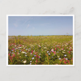 Postal Barbate, Andalucía (España)