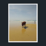 Postal Barbate, Andalucía (España)<br><div class="desc">Esta postal fue creada a partir de una foto tomada con un teléfono de e-ink (Hisense) durante mi camioneta viaja por España. Capta una playa en el municipio de Barbate,  provincia de Cádiz. Encontrar más productos en: youtube.com/@minimalistlandscapes</div>