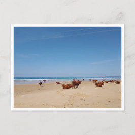 Postal Barbate, Andalucía (España)