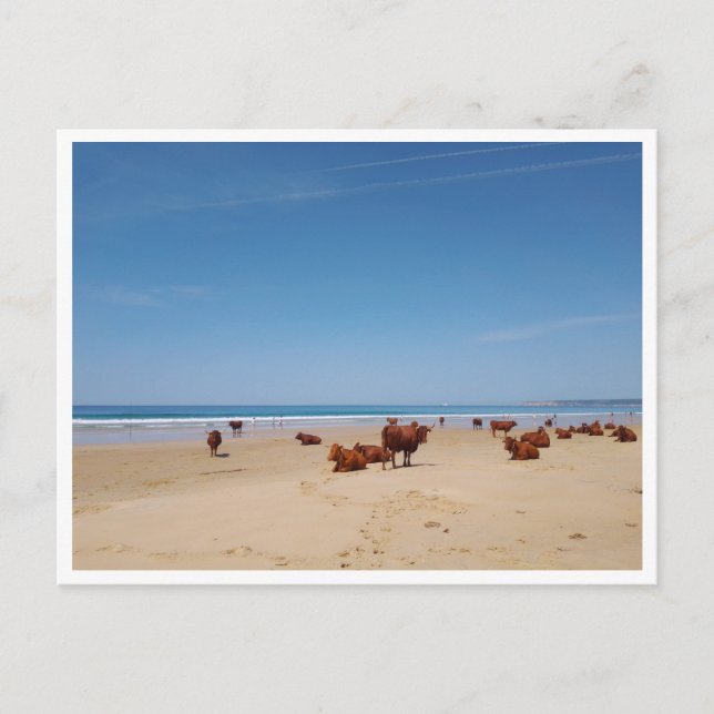 Postal Barbate, Andalucía (España) (Anverso)