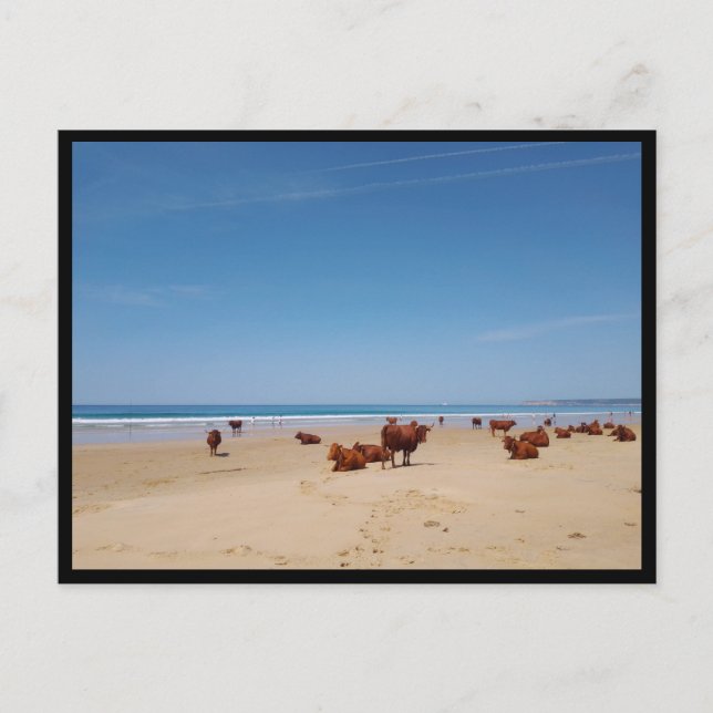 Postal Barbate, Andalucía (España) (Anverso)