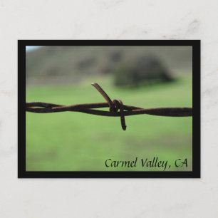 Postal Barbed Wire Fence Carmel Valley, CA Postcard