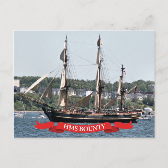 Postal Barco de HMS Bounty Tall (Anverso)