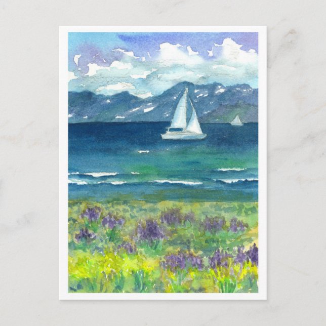 Postal Barco de vela Mountain Lake Purple Watercolor Lupi (Anverso)