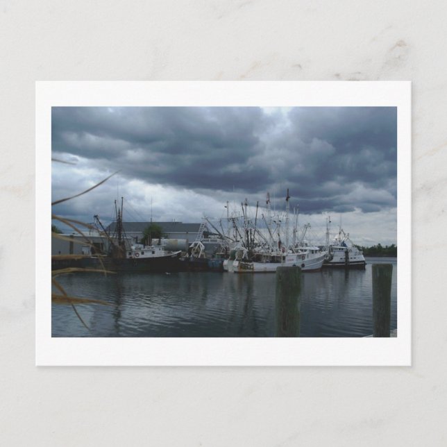 Postal Barcos De Pescado En La Playa (Anverso)
