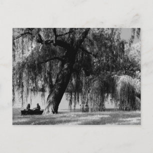 Postal Barcos de remos de Central Park