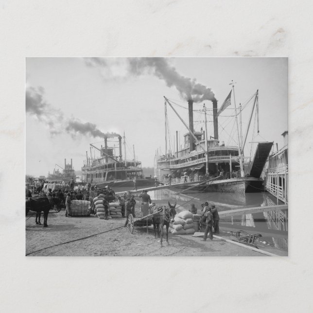 Postal Barcos de vapor en Vicksburg, 1910 (Anverso)