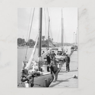 Postal Barcos marinos de Miami, 1905