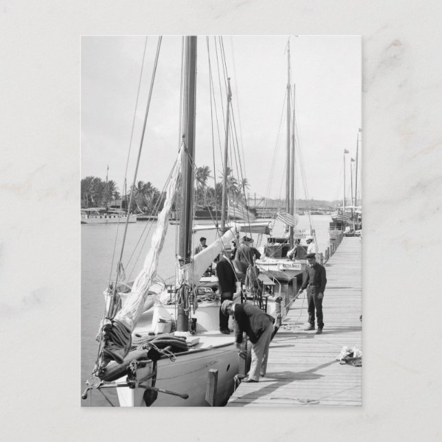Postal Barcos marinos de Miami, 1905 (Anverso)