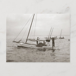 Postal Barcos ostreros, 1903
