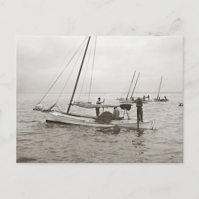 Postal Barcos ostreros, 1903 (Anverso)