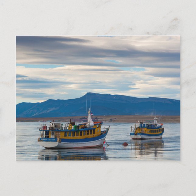 Postal Barcos turísticos en la bahía de Seno Última Esper (Anverso)