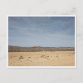 Postal Bardenas Reales (España)