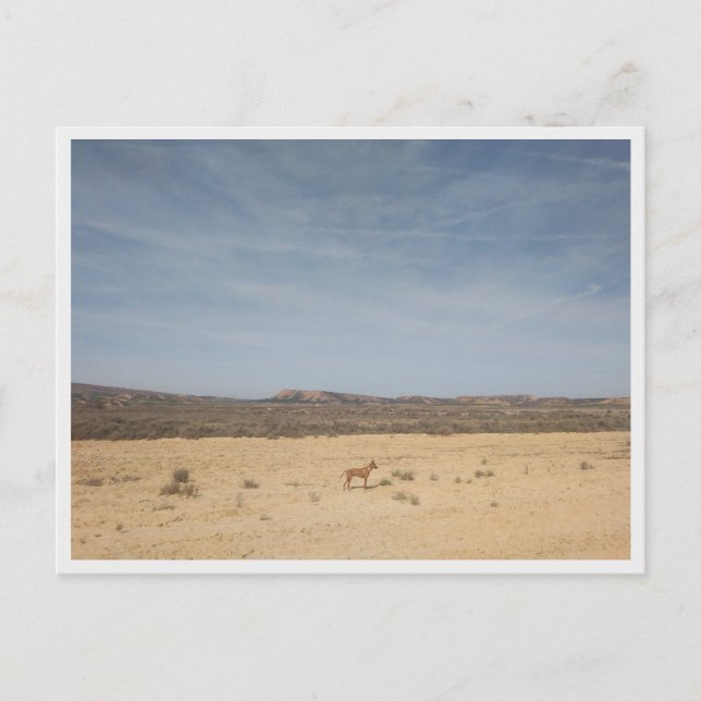 Postal Bardenas Reales (España) (Anverso)